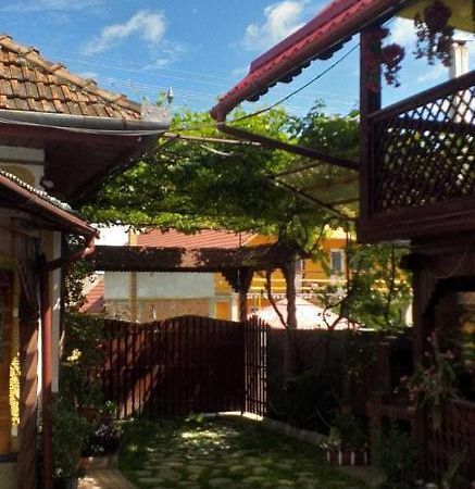 Casa Boierului Imbri Villa Cîrţişoara Exteriör bild