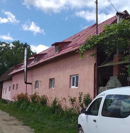Casa Boierului Imbri Villa Cîrţişoara Exteriör bild