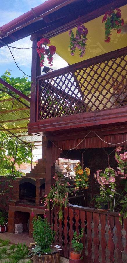 Casa Boierului Imbri Villa Cîrţişoara Exteriör bild