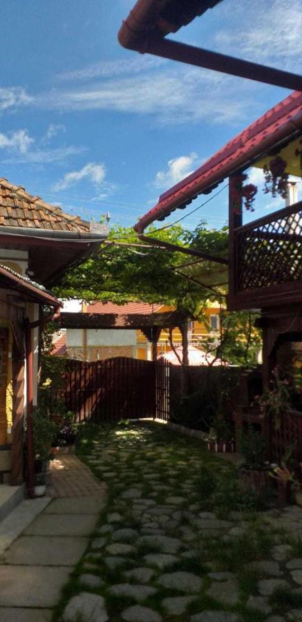 Casa Boierului Imbri Villa Cîrţişoara Exteriör bild