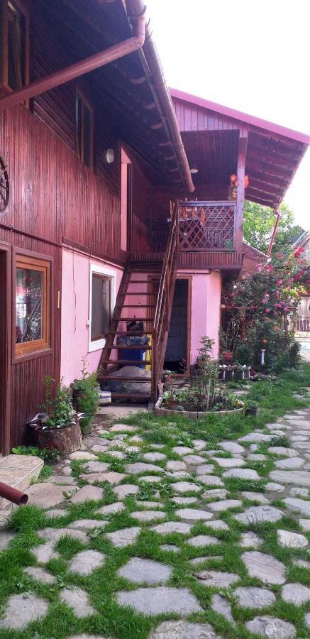 Casa Boierului Imbri Villa Cîrţişoara Exteriör bild