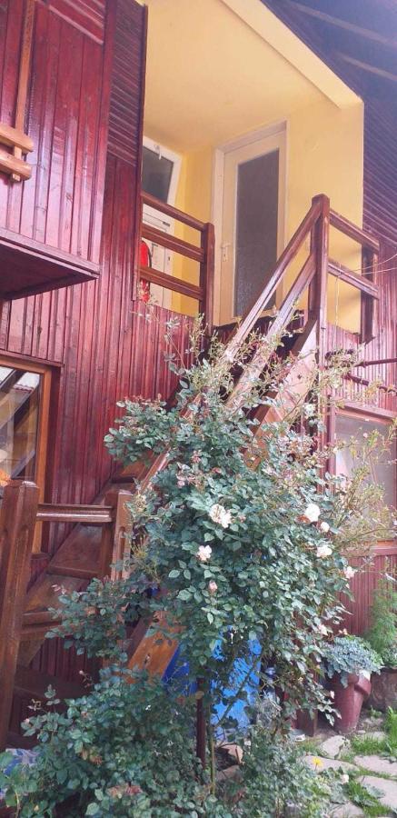 Casa Boierului Imbri Villa Cîrţişoara Exteriör bild