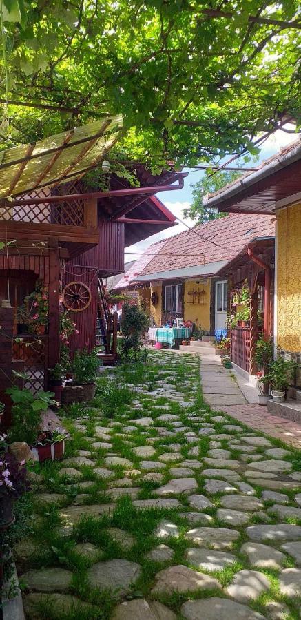 Casa Boierului Imbri Villa Cîrţişoara Exteriör bild