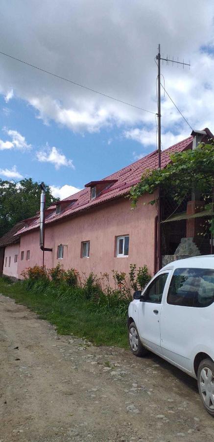Casa Boierului Imbri Villa Cîrţişoara Exteriör bild