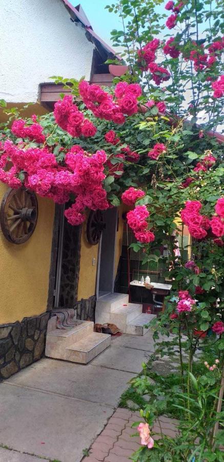 Casa Boierului Imbri Villa Cîrţişoara Exteriör bild